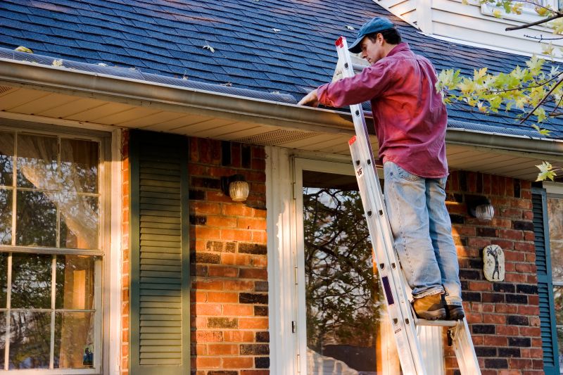 Box Gutter Repair in Longmont, CO
